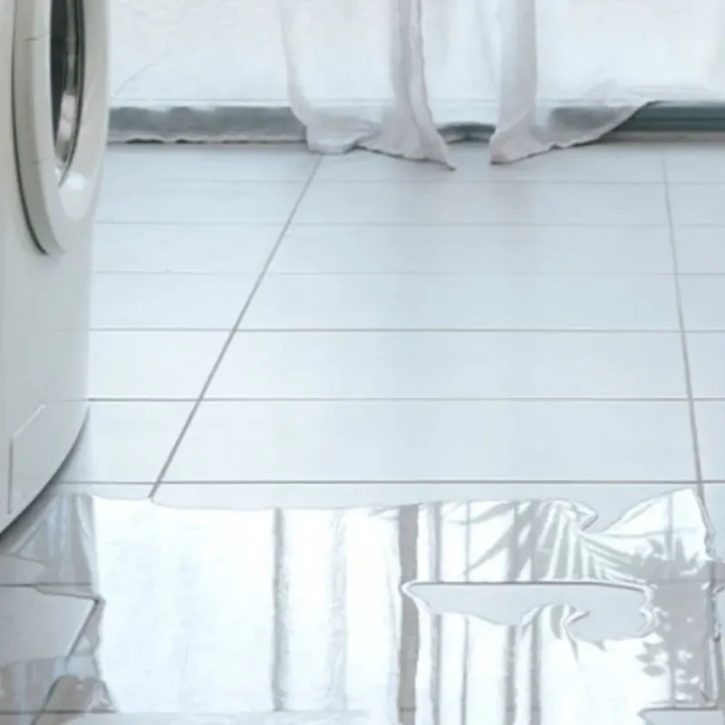 Appliance Leak Cleanup in Lake County, CA