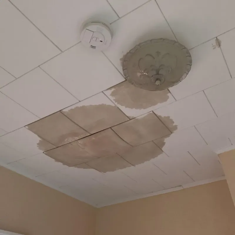 Ceiling Water Damage Repair in Lake County, CA