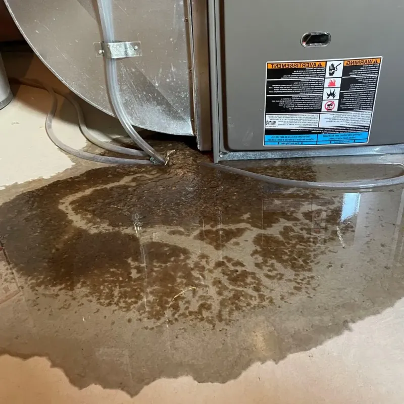 Pipe Burst and Leak Restoration in Lake County, CA