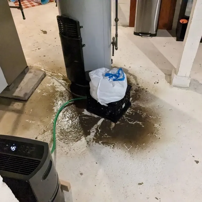 Sewage Backup Cleanup Service in Lake County, CA